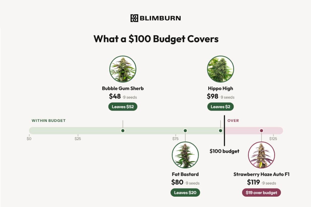 Blimburn-img-4